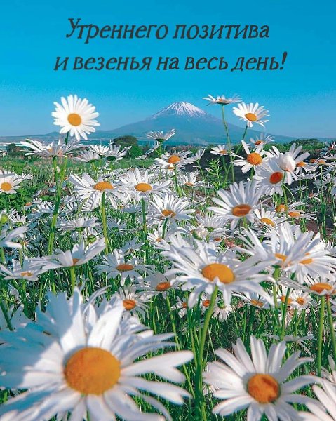 ***Victoria Viktorovna*** - 23  2022  04:02