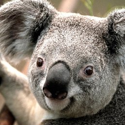 ������, ������, 48 ���