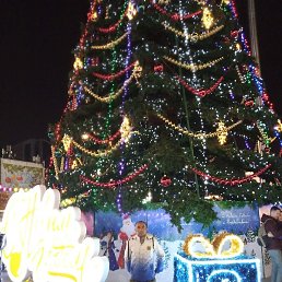 ������, ���������, 33 ����