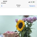 ���� �������, ������ - ��������� 17 ������� 2022 � ������ ���� ����������