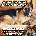  , , 63  -  26  2022   -