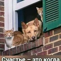 , , 46 