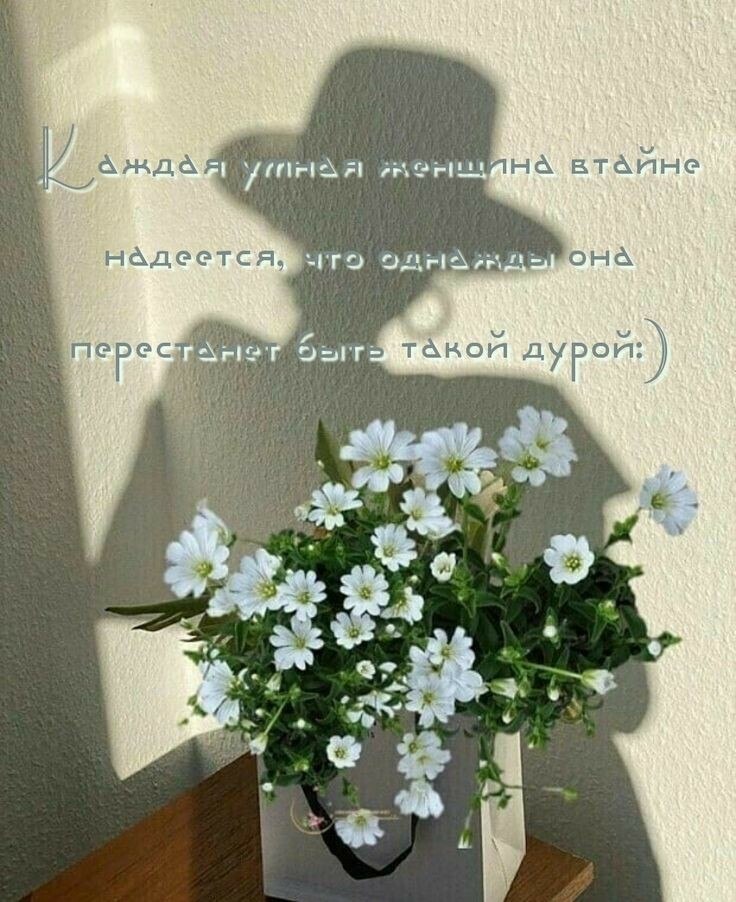 ***Victoria Viktorovna*** - 24  2022  14:09