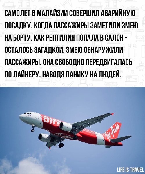 LIFE -  - 8  2022  00:50 - 2