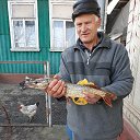 ���� Ion, �������, 74 ���� - ��������� 14 ������� 2023 � ������ ���� ����������