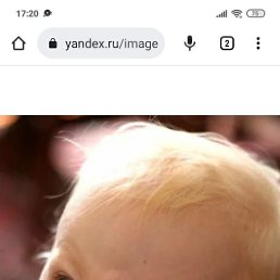 ���� ����, ���������, 39 ��� - ��������� 23 ������ 2023