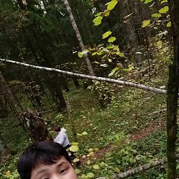 ����, ������, 29 ���