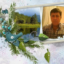 ���� Kimal, ���������, 56 ��� - ��������� 11 ������� 2022