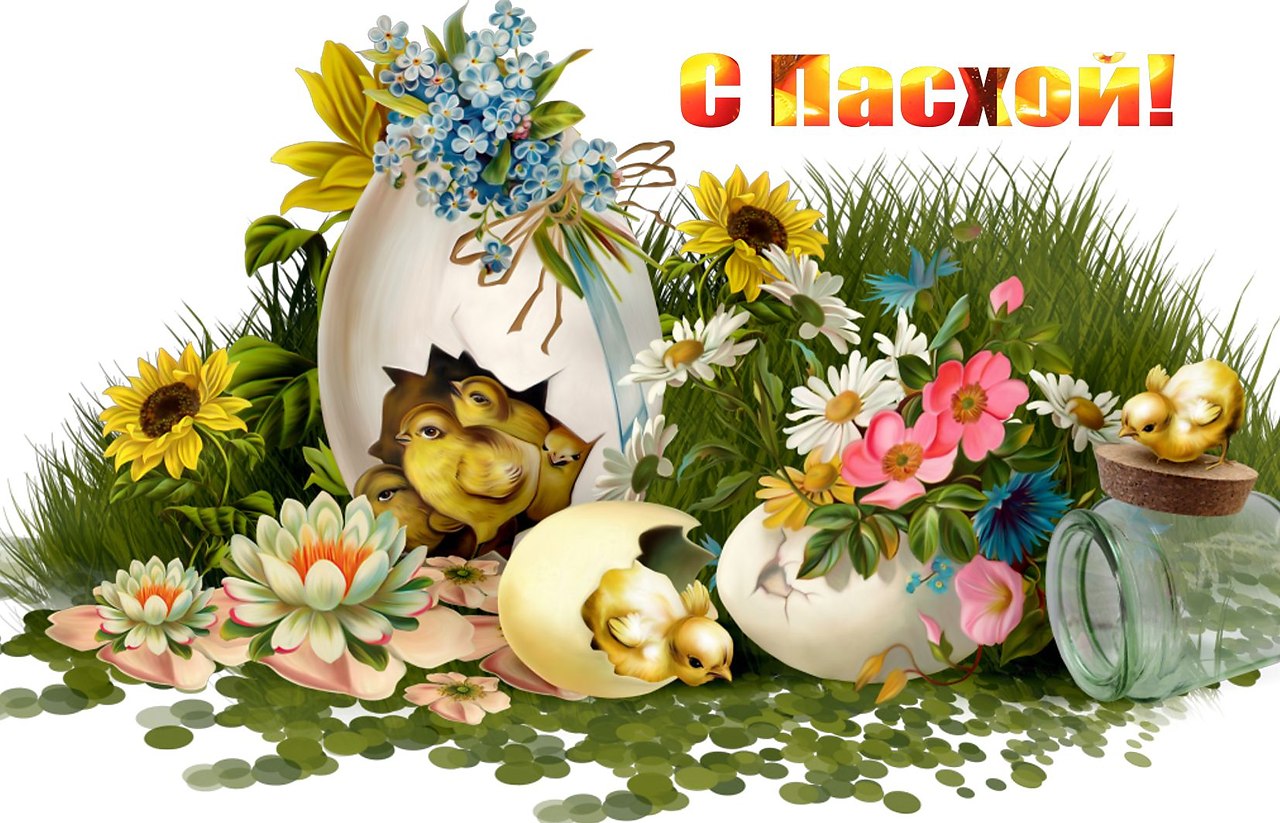   ,    . - 23  2022  17:46 - 4