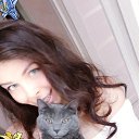 ���� �����, ������, 40 ��� - ��������� 4 ������� 2023 � ������ ���� ����������