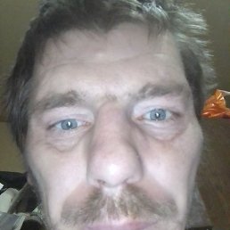 �����, ������, 41 ���