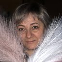 ���� �����, ��������� - ��������� 24 ����� 2022 � ������ ���� ����������