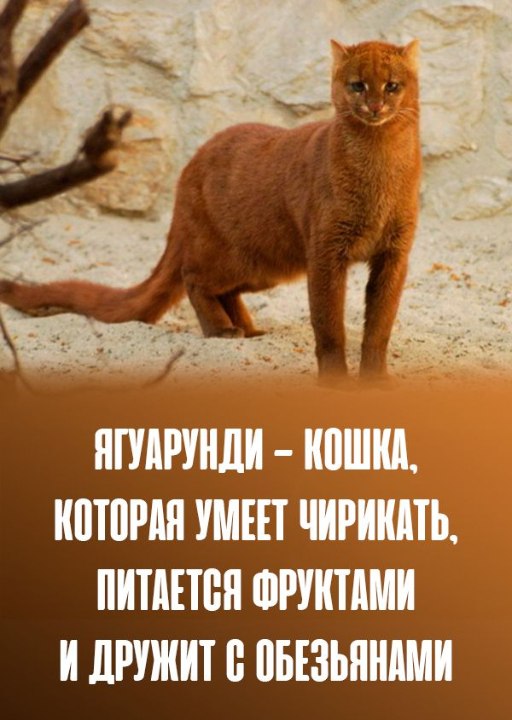   - 11  2022  19:52
