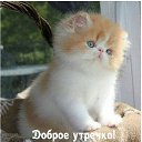  , , 54  -  9  2022