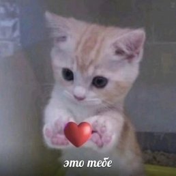 , , 34 