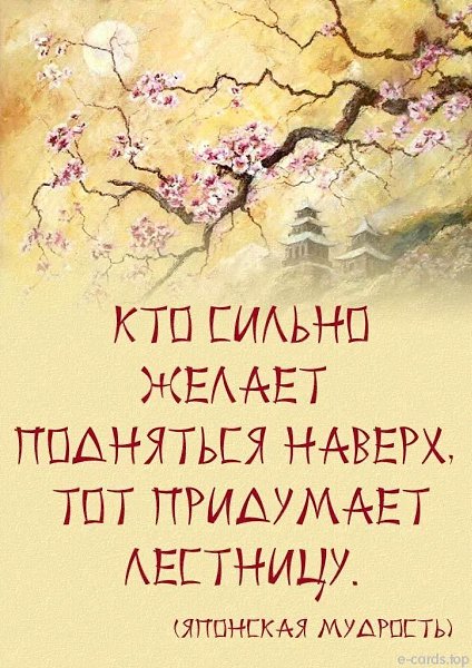   - 29  2022  15:01