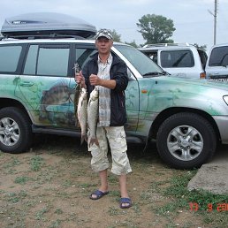 ��������, ������, 65 ���