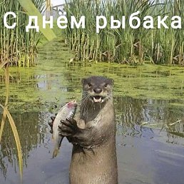 , , 44 