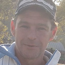 �������, ������, 50 ���