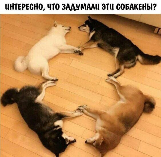    - 8  2023  13:22