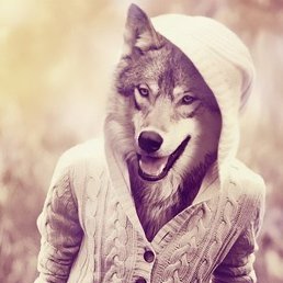 ������, ����, 30 ���