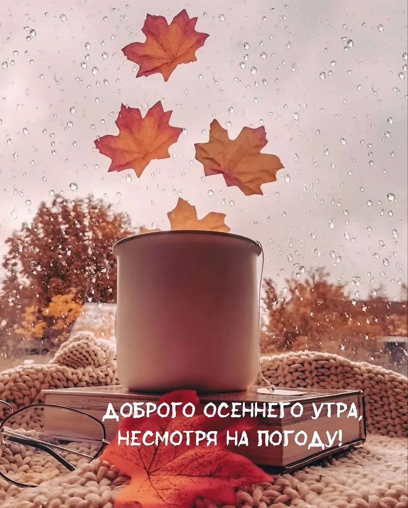 ПРИВЕТСТВИЯ и ПОЖЕЛАНИЯ, открытки на каждый день. опубликовал пост от 4  октября 2022 в 23:09 | Фотострана | Пост №2510603121
