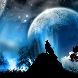 �������, ��������-��-������, 41 ���