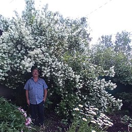 �����, ������ ��������, 67 ���