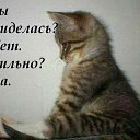 ���� ����, �������� - ��������� 23 ��� 2022 � ������ ���� ����������