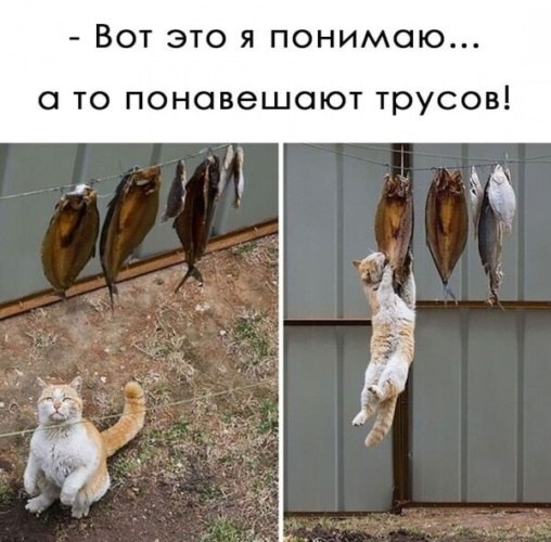   - 7  2022  09:11
