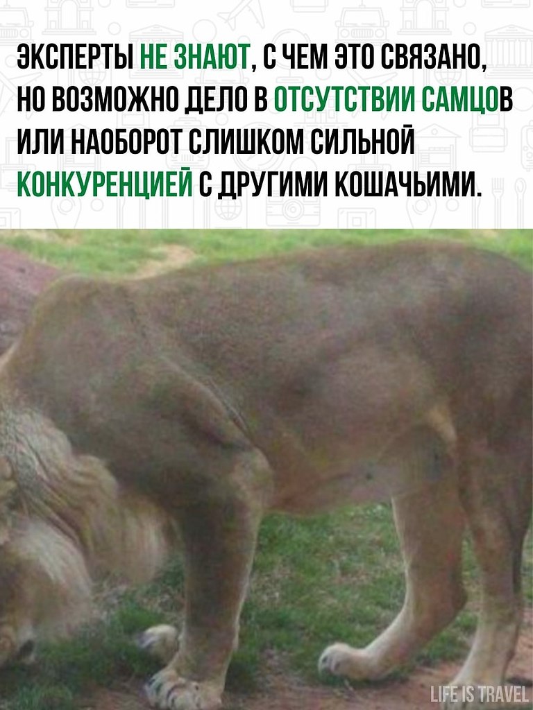         ,      . - 3