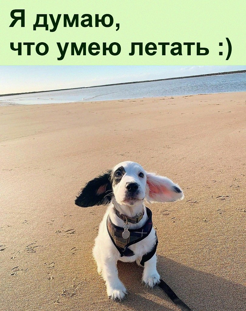     -  )