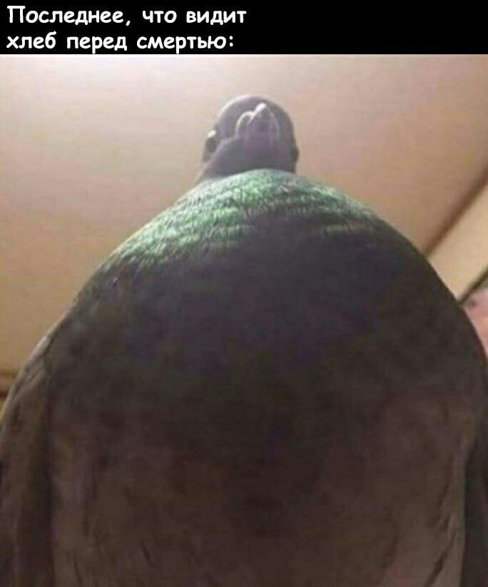    - 3  2022  07:19