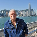 ���� ������, ������, 81 ��� - ��������� 1 ������ 2023 � ������ ���� ����������