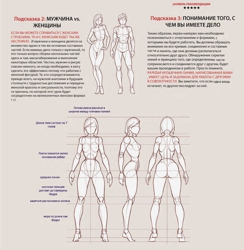 Оптимальная женщина. Женщина инструкция рисунок. Инструкция по рисованию тела. Лучшие позы для женского организма. Инструкция к женскому телу.