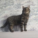 ���� �������, �����������, 46 ��� - ��������� 29 ������ 2022 � ������ ���� ����������