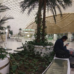 ���� �����, ������, 47 ��� - ��������� 8 ������ 2023