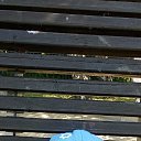 ���� Ilyh, ������ - ��������� 23 ���� 2022