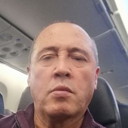 �����, ������, 65 ���