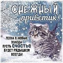 ���� �����, �����, 43 ���� - ��������� 8 ������� 2022