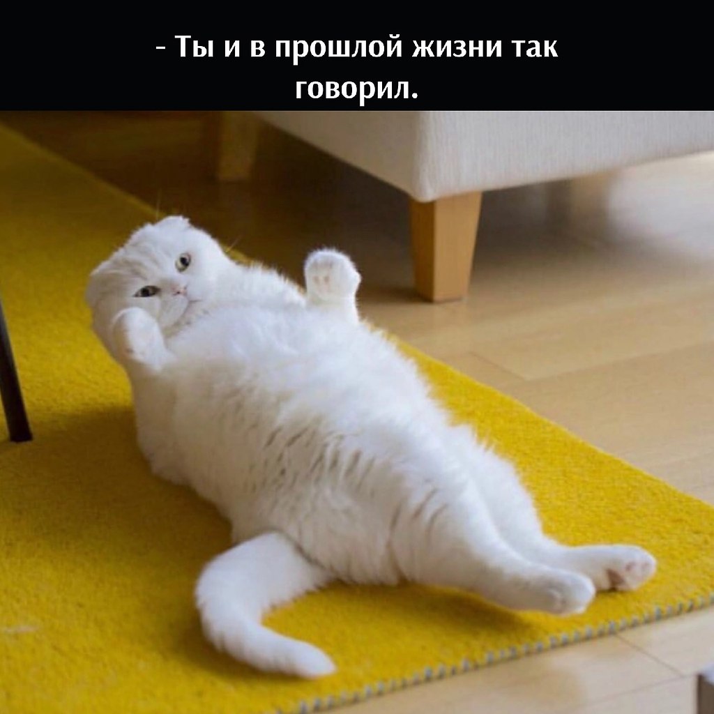       - 3  2022  16:39 - 3