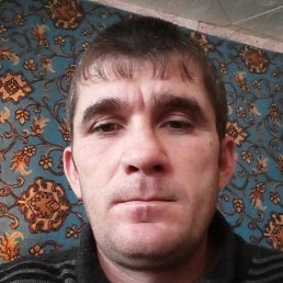 ������, ������, 37 ���