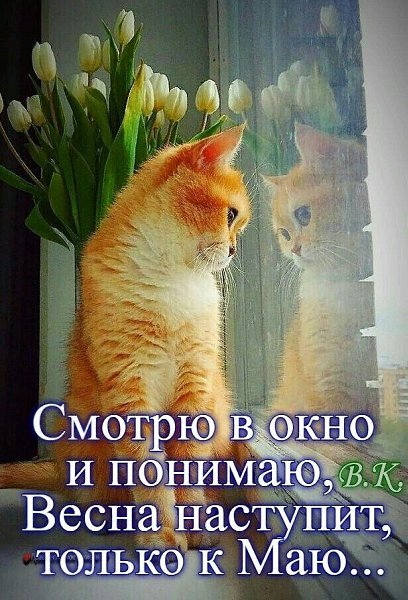   - 10  2022  08:38
