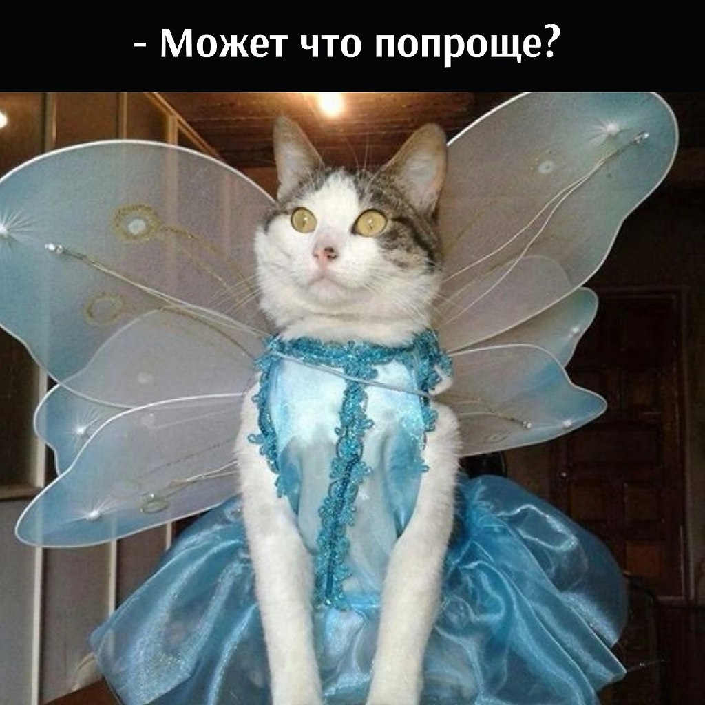       - 13  2022  13:41 - 2