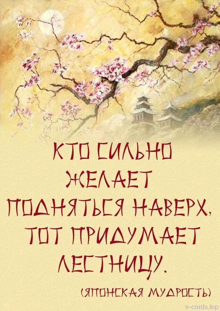   - 29  2022  15:01