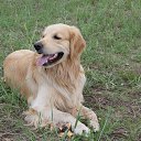 ���� �, ����, 48 ��� - ��������� 19 ������ 2023 � ������ ���� ����������