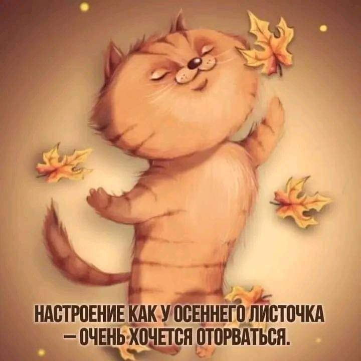 :) - Мама! Але! Мама, это Лара.... Как у вас с настроением? - Пока ты не позвонила, было хорошее. Шо ...