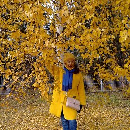 ������, ���������, 63 ����