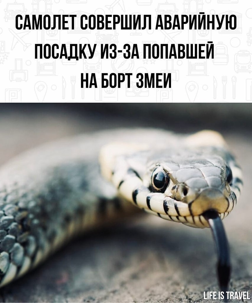 LIFE -  - 8  2022  00:50