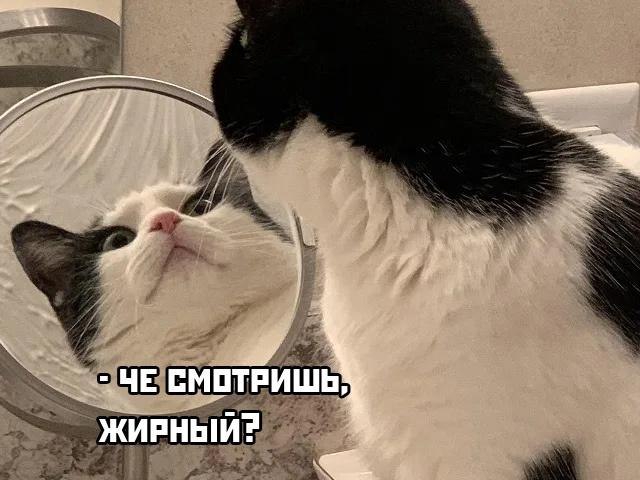      .#